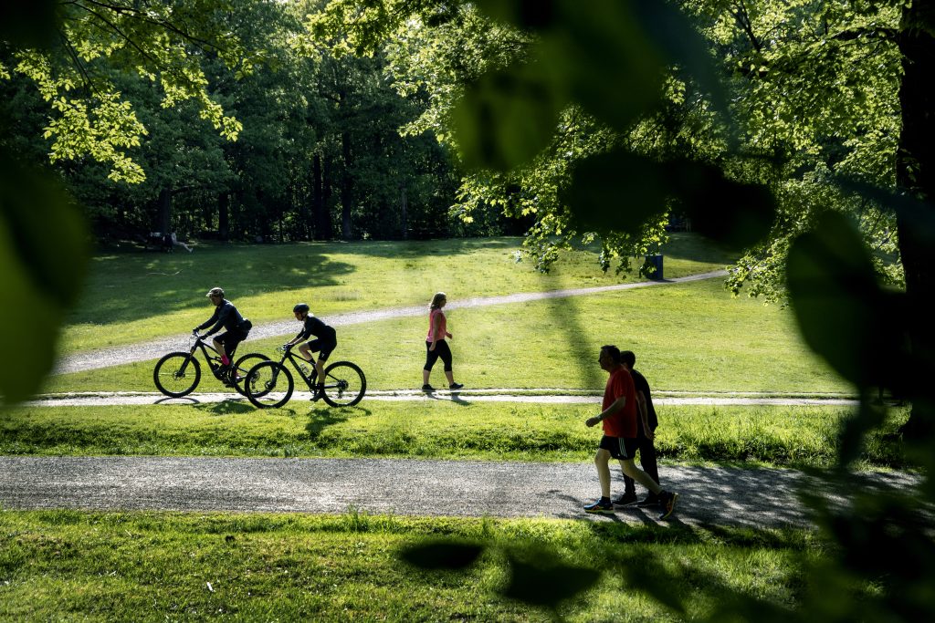 Två cyklister och tre övriga motionärer passerar i en sommargrön park.