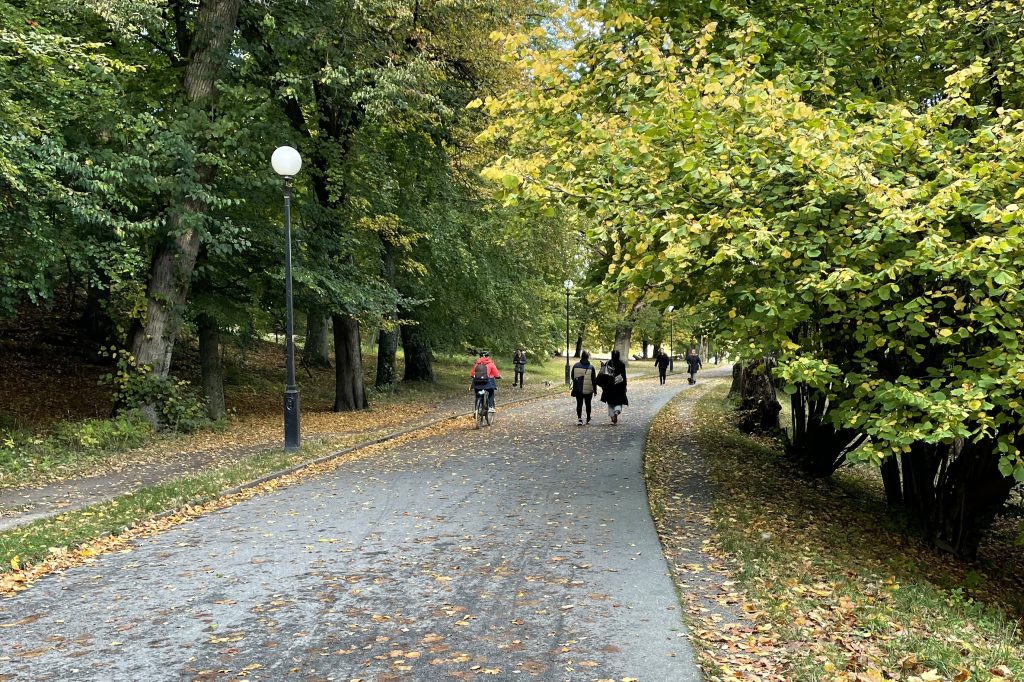 gång- och cykelbana i Slottsskogen på hösten